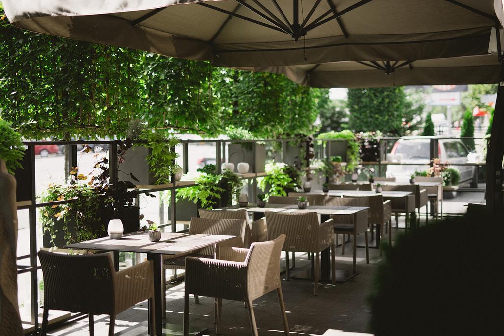 Hotel Berds Mgallery Collection Chisinau
